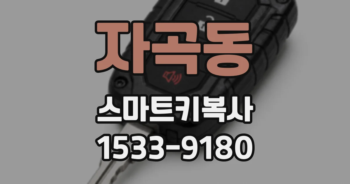 자곡동 스마트키복사