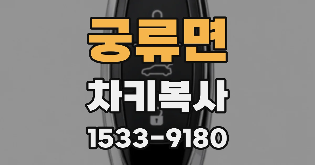 궁류면 차키복사