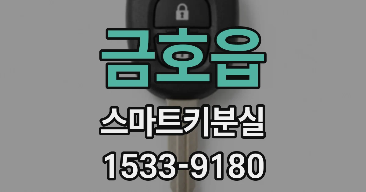 금호읍 스마트키분실