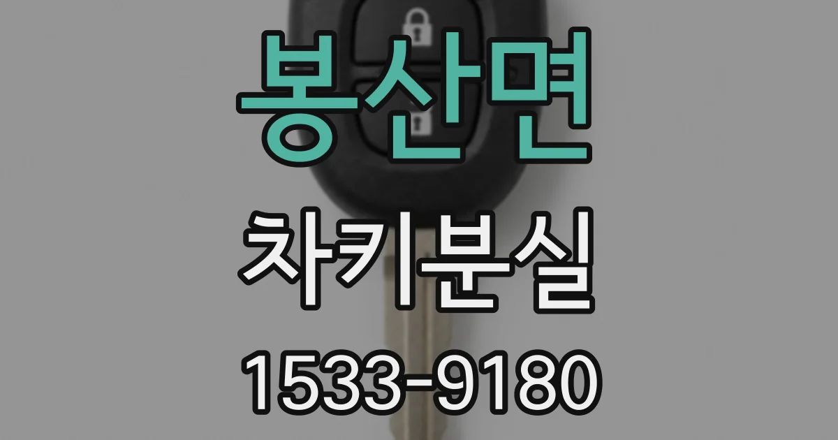 봉산면 차키분실