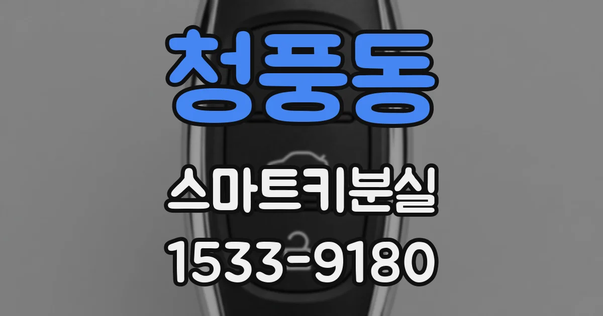 청풍동 스마트키분실