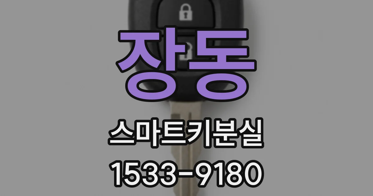 장동 스마트키분실
