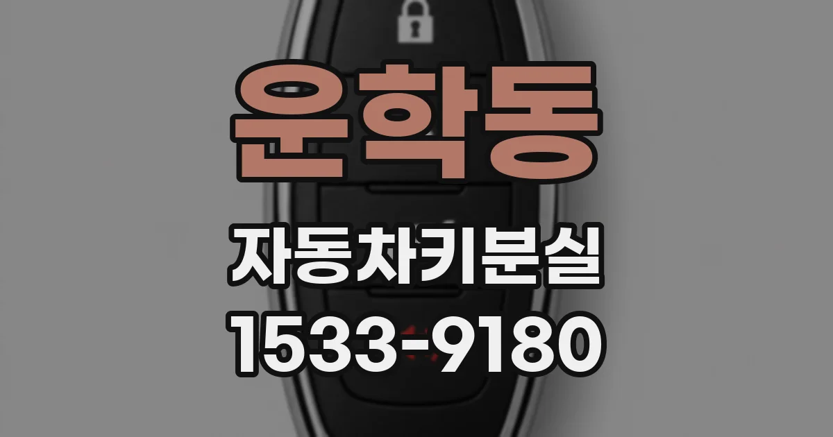 운학동 자동차키분실