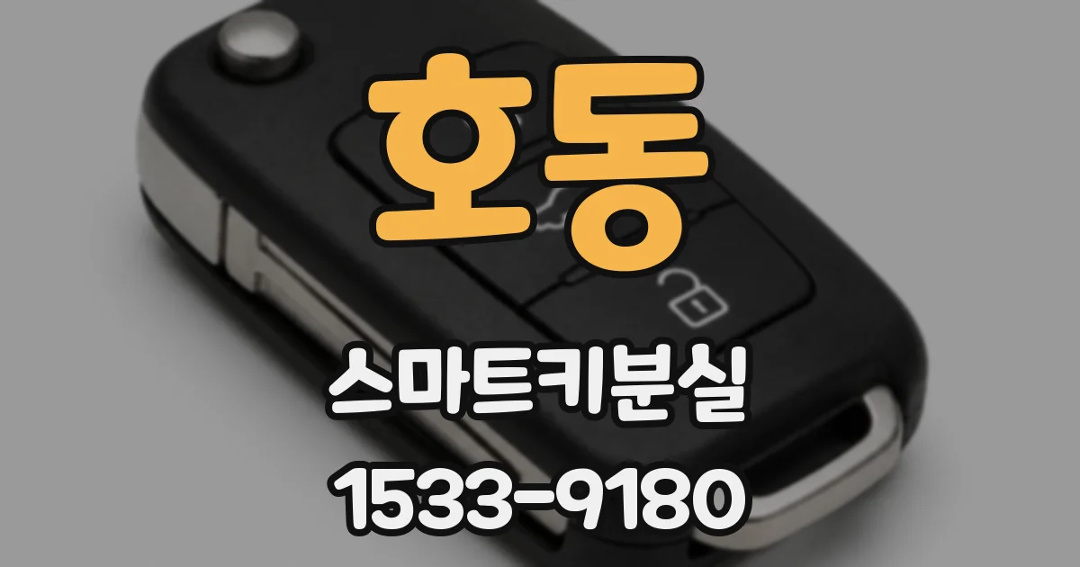 호동 스마트키분실