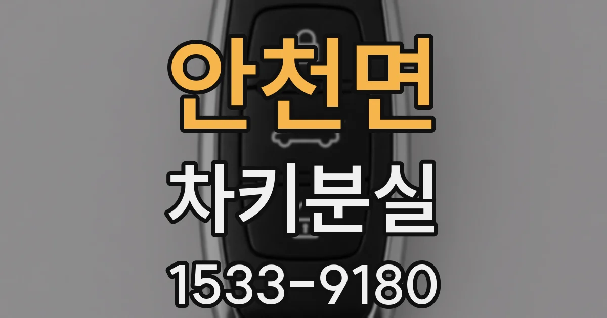 안천면 차키분실