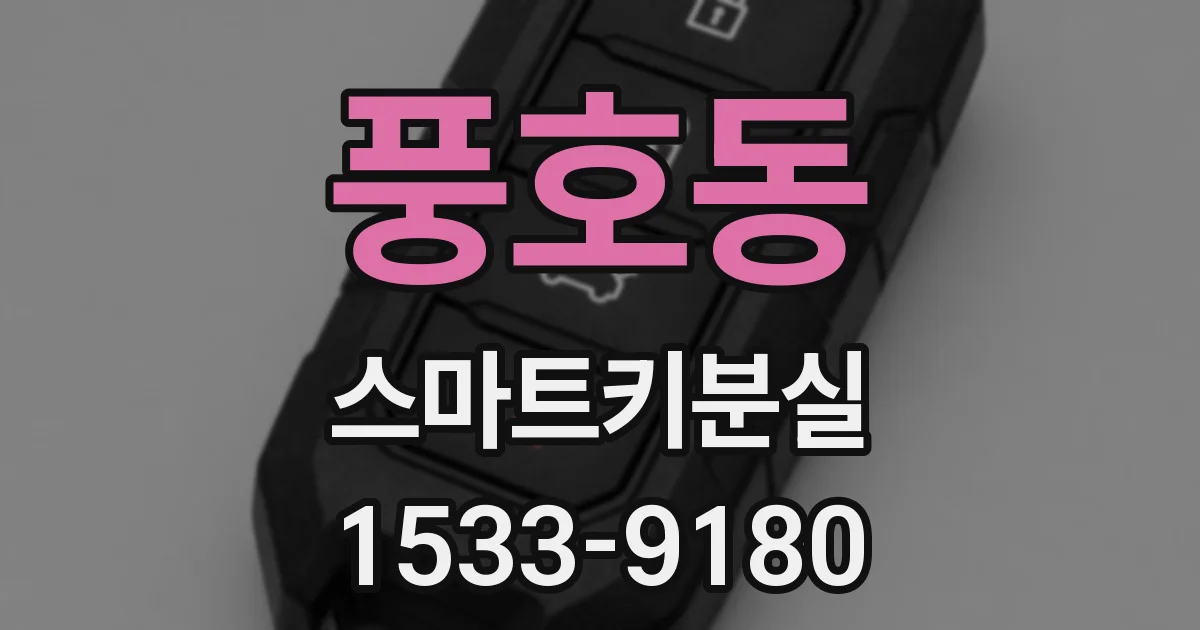 풍호동 스마트키분실