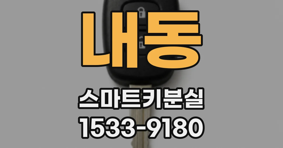 내동 스마트키분실