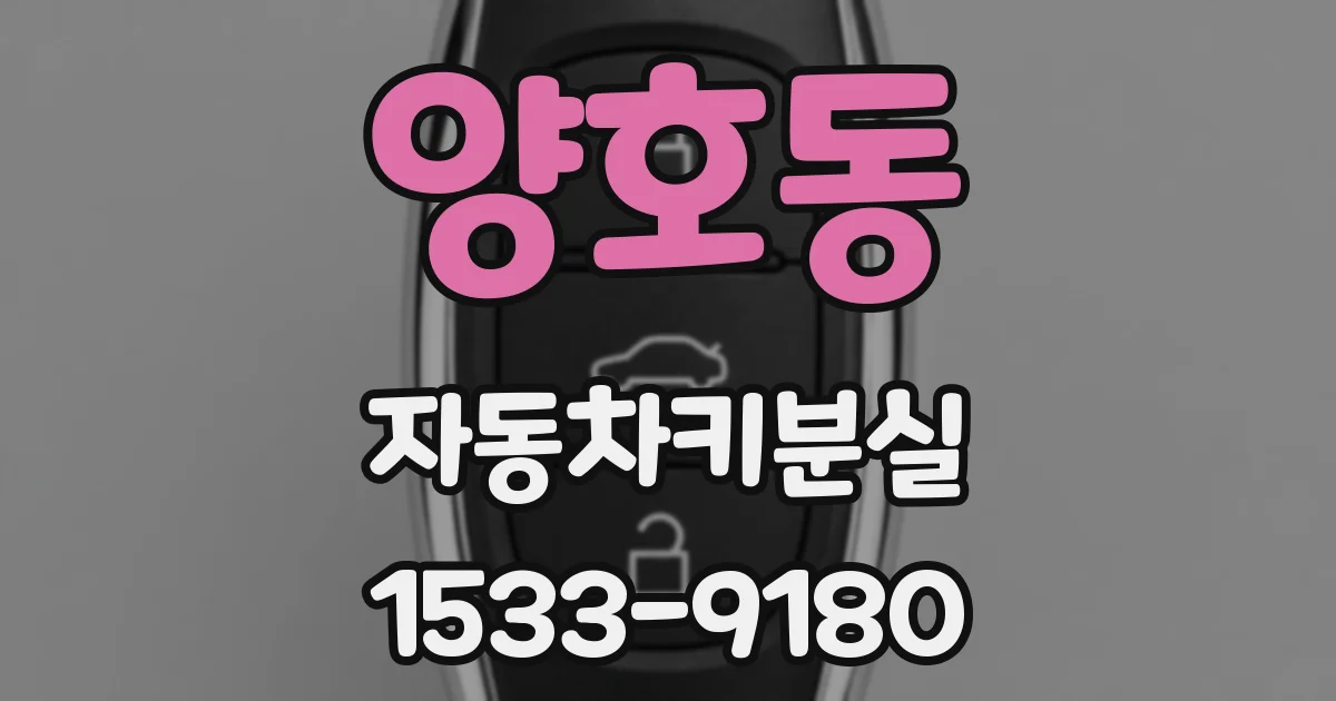 양호동 자동차키분실