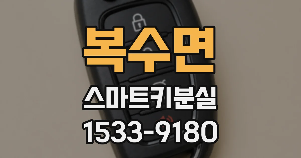 복수면 스마트키분실