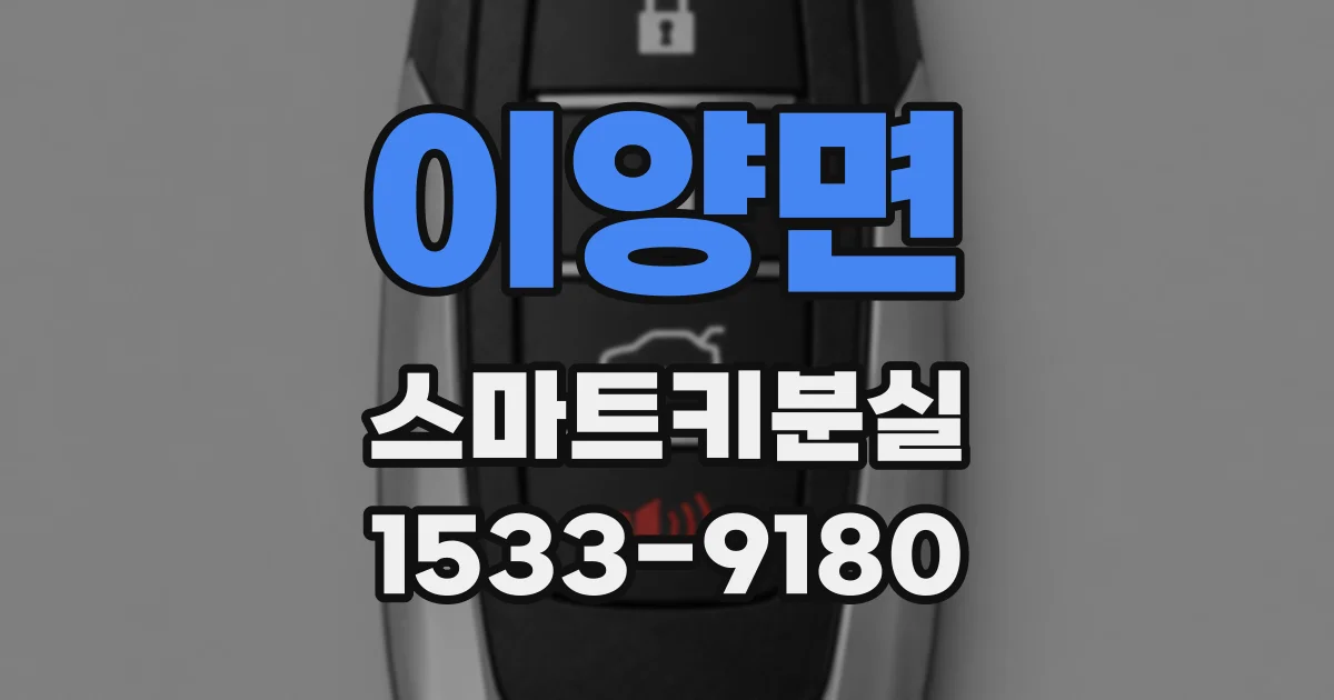 이양면 스마트키분실