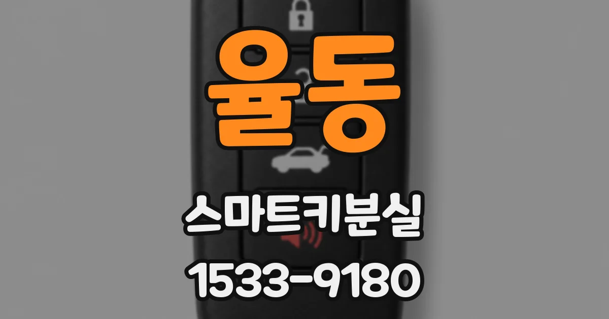 율동 스마트키분실