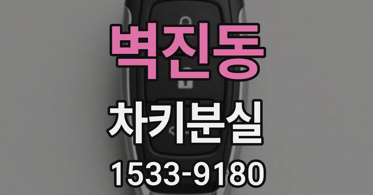 벽진동 차키분실