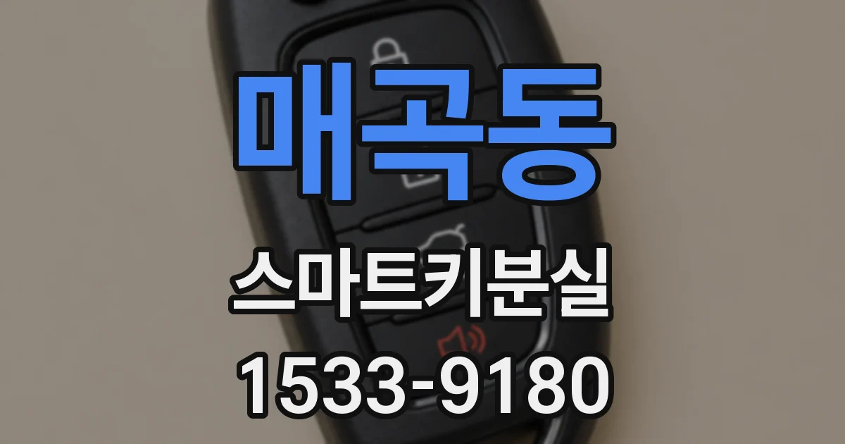 매곡동 스마트키분실