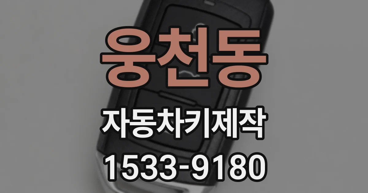웅천동 자동차키제작