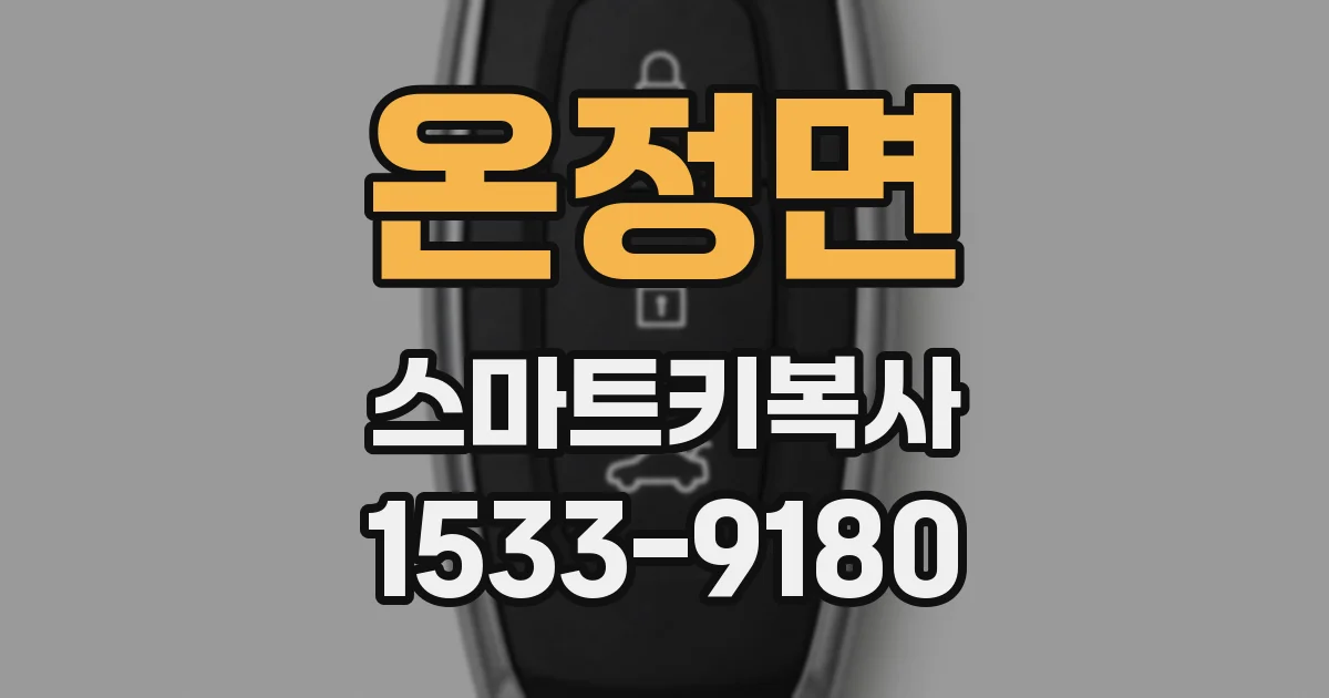 온정면 스마트키복사