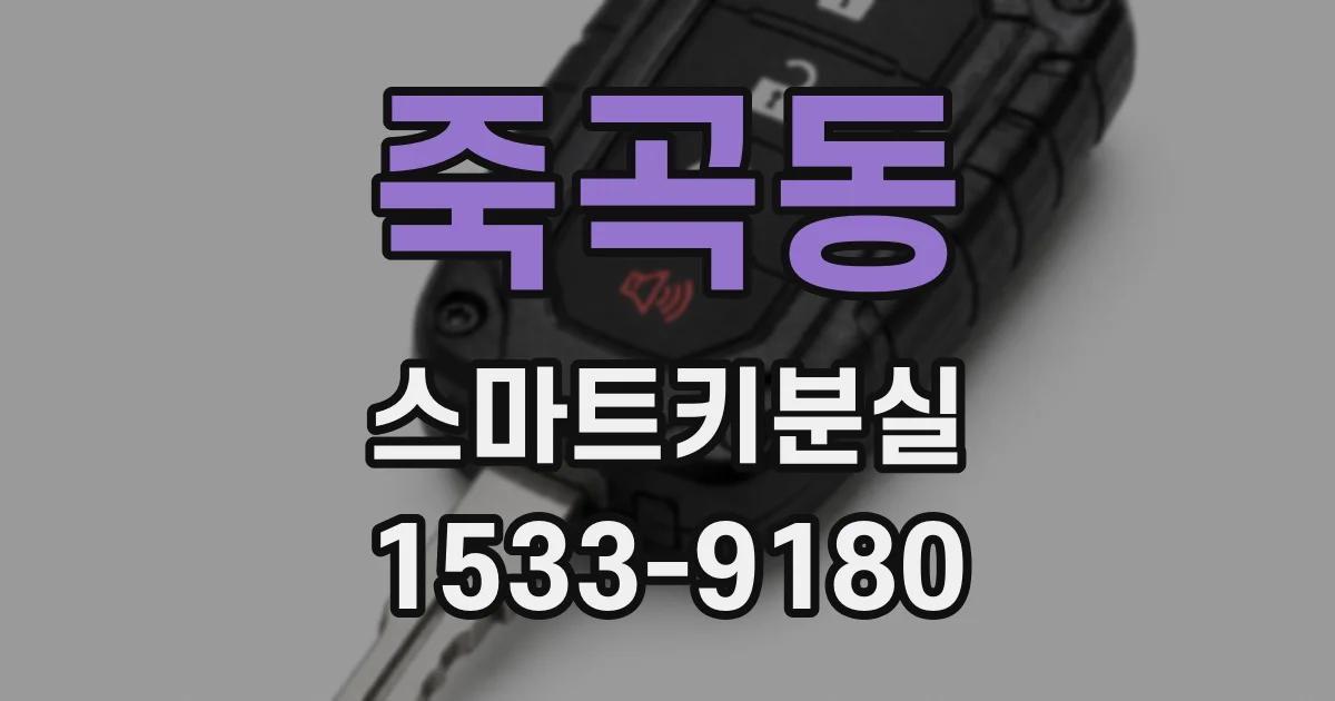 죽곡동 스마트키분실