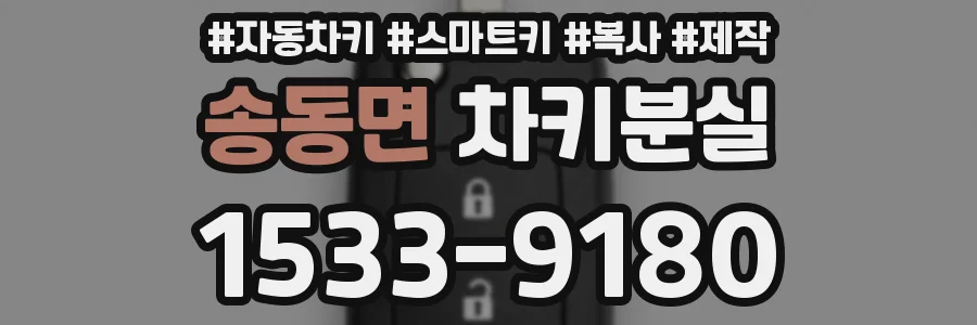 송동면 차키분실