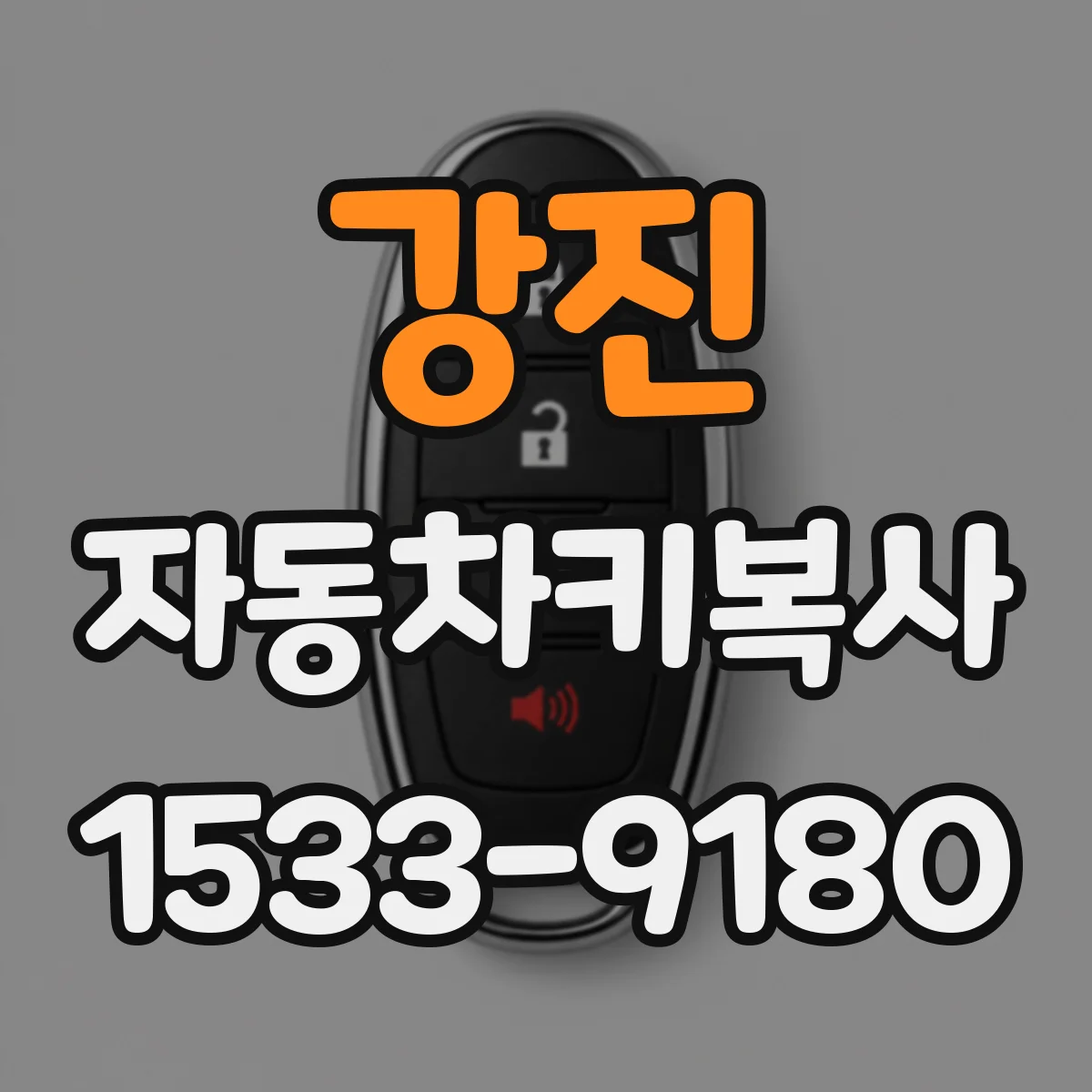 강진 자동차키복사
