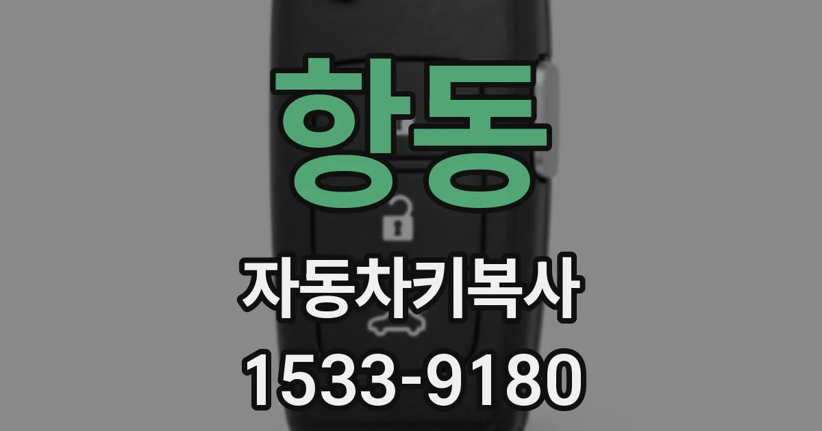 항동 자동차키복사