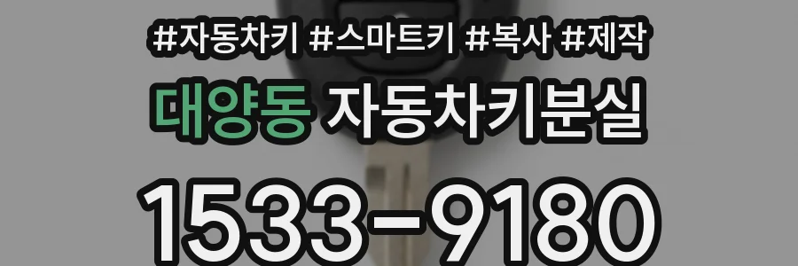 대양동 자동차키분실