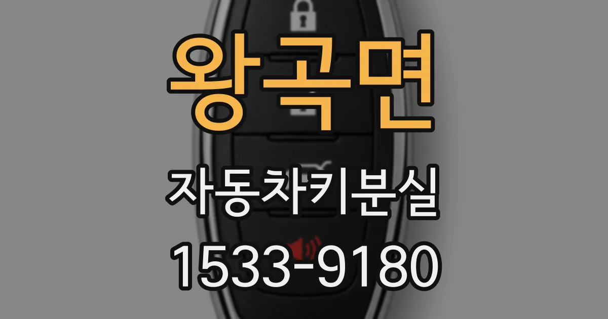 왕곡면 자동차키분실