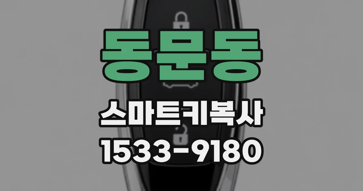 동문동 스마트키복사
