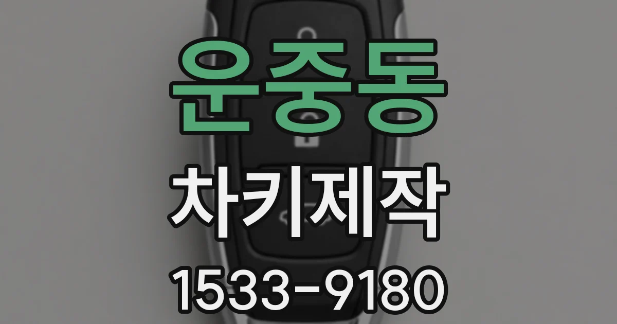 운중동 차키제작