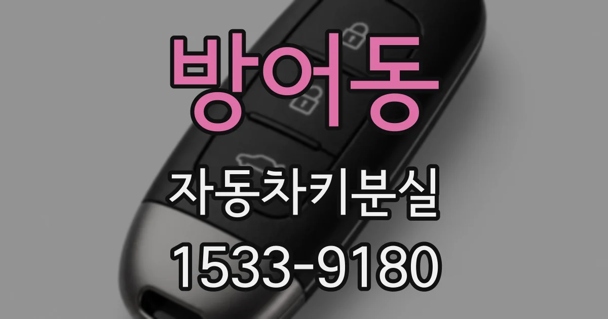 방어동 자동차키분실