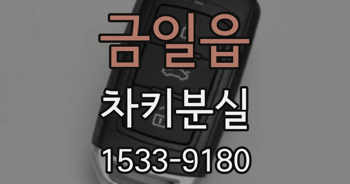 금일읍 차키분실