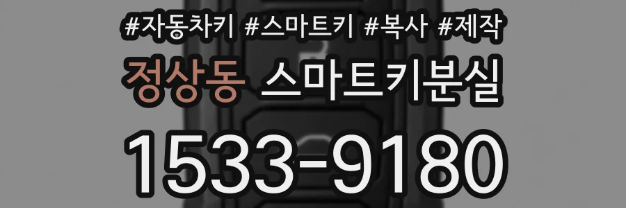 정상동 스마트키분실