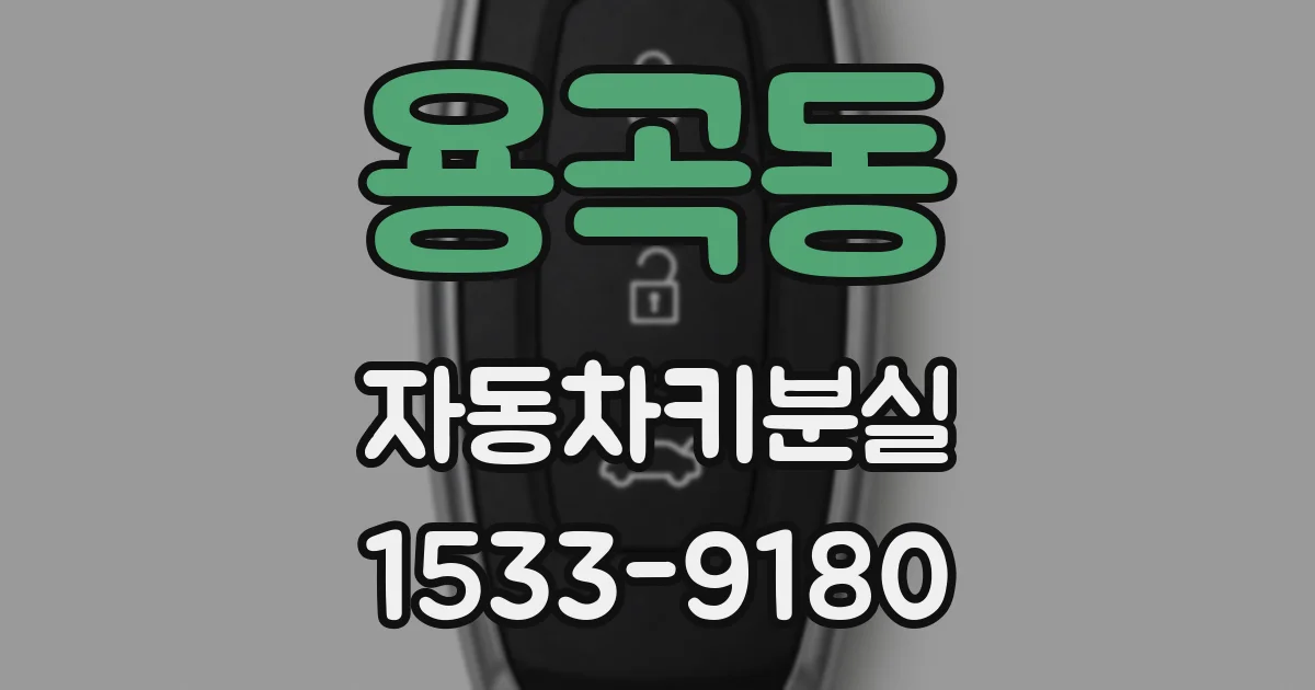 용곡동 자동차키분실
