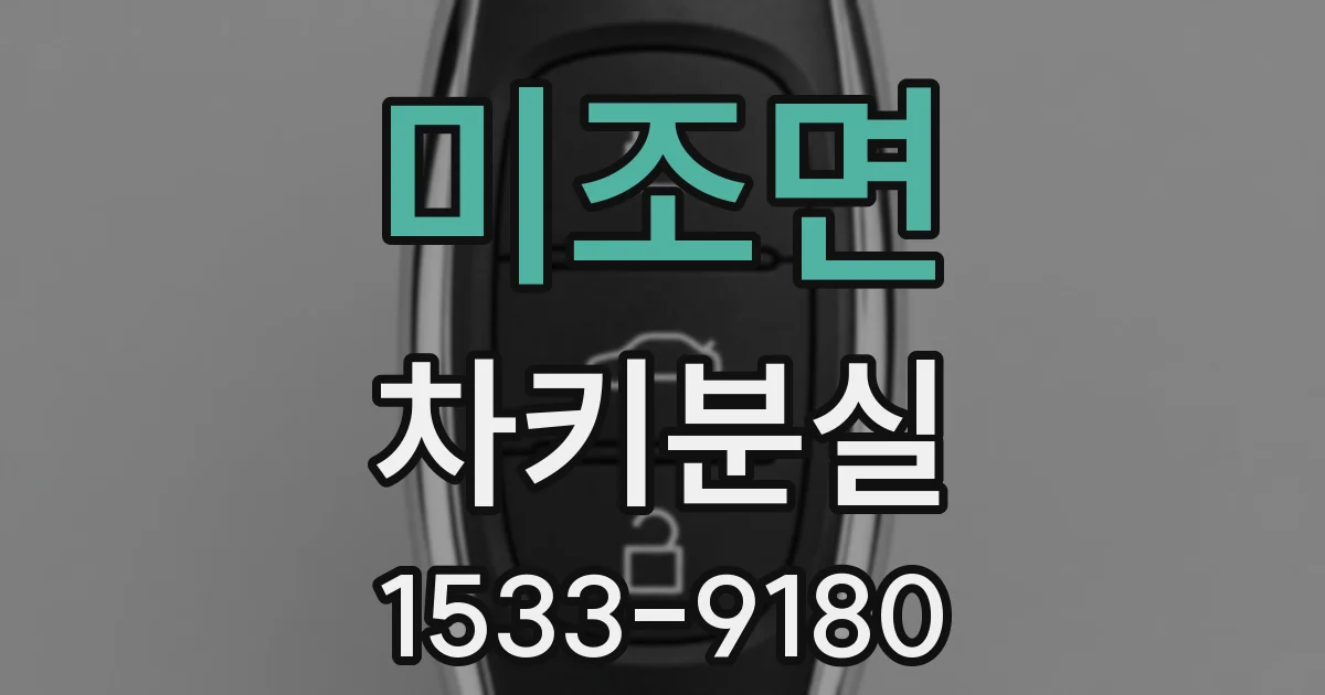 미조면 차키분실