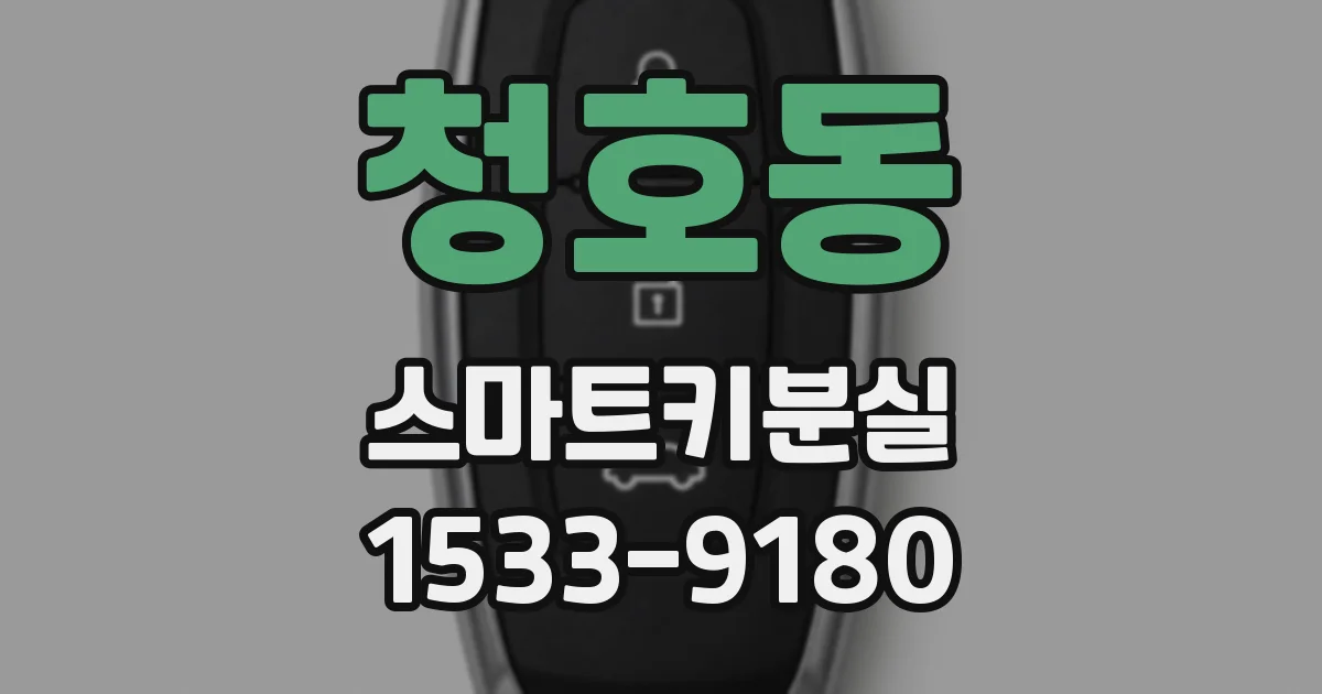 청호동 스마트키분실