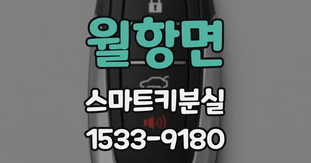 월항면 스마트키분실