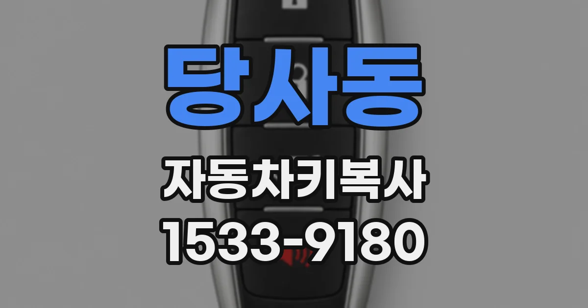 당사동 자동차키복사