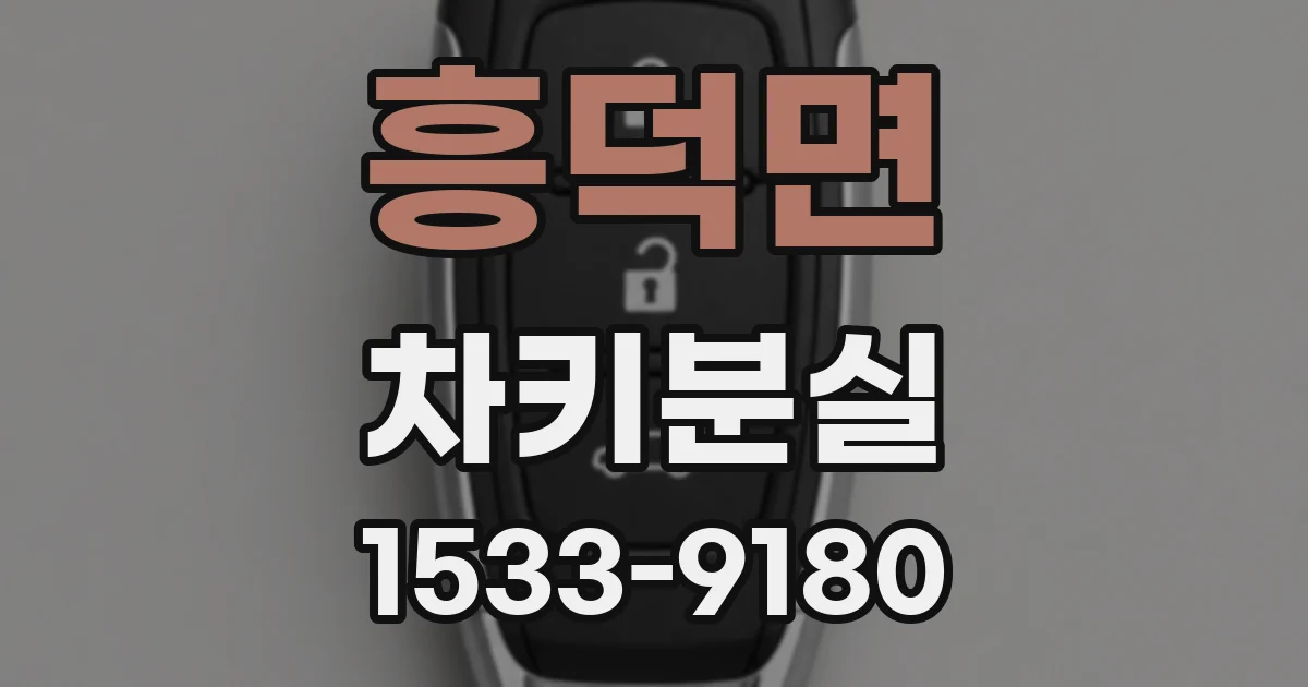 흥덕면 차키분실