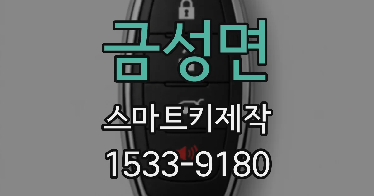 금성면 스마트키제작
