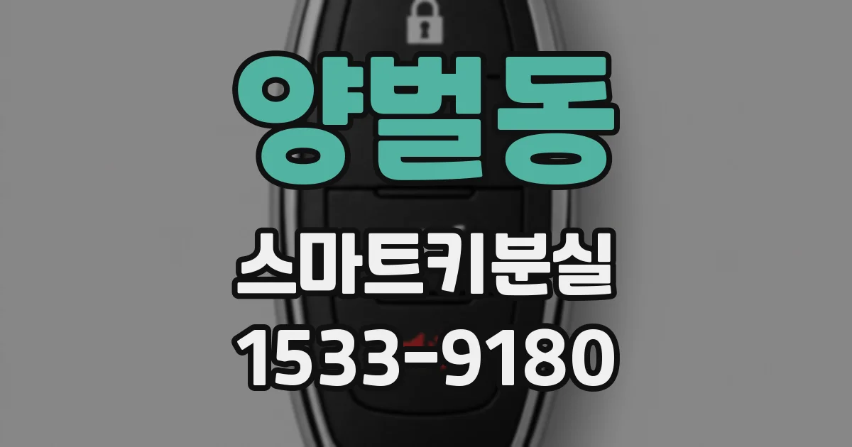 양벌동 스마트키분실