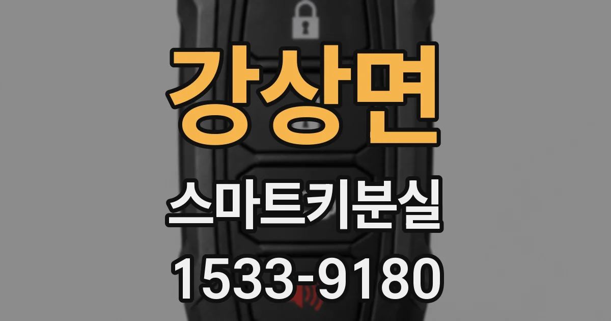 강상면 스마트키분실