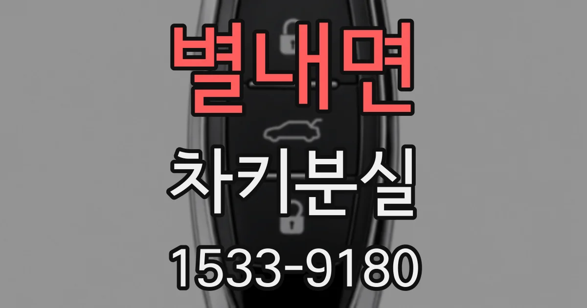 별내면 차키분실