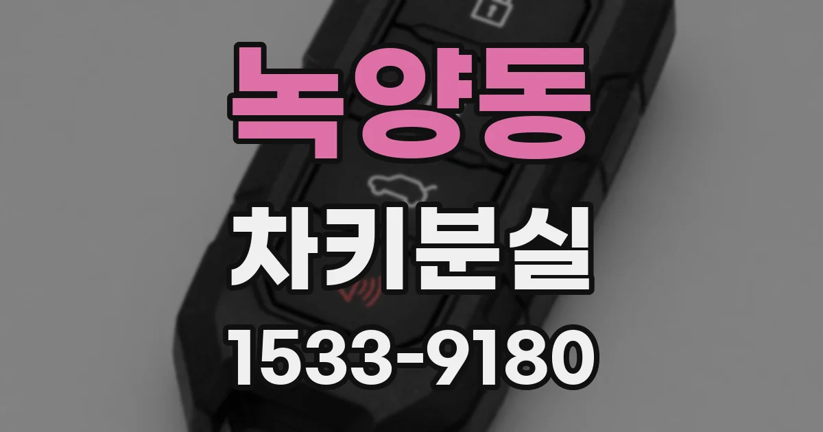 녹양동 차키분실
