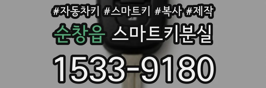 순창읍 스마트키분실