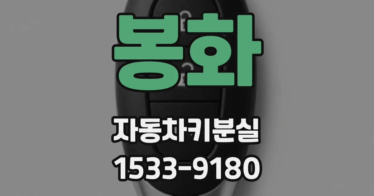봉화 자동차키분실