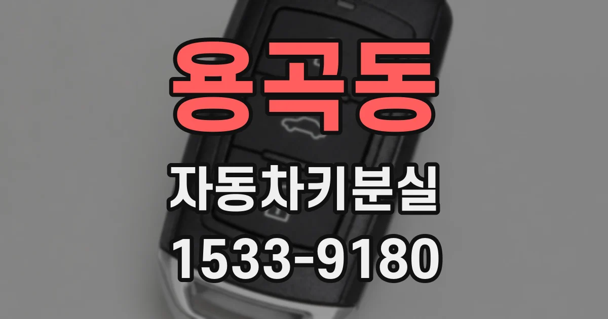 용곡동 자동차키분실