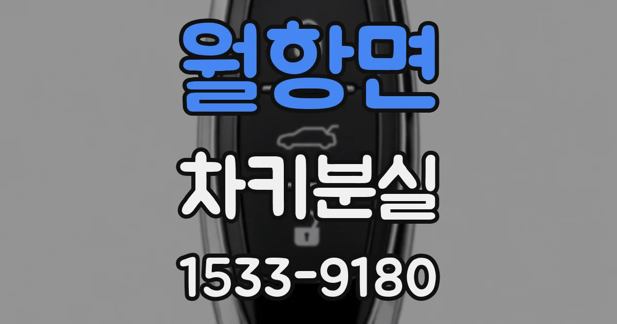월항면 차키분실