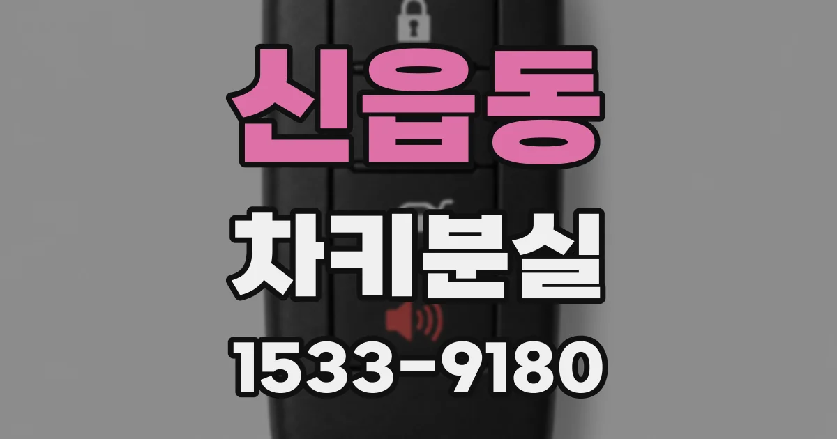 신읍동 차키분실