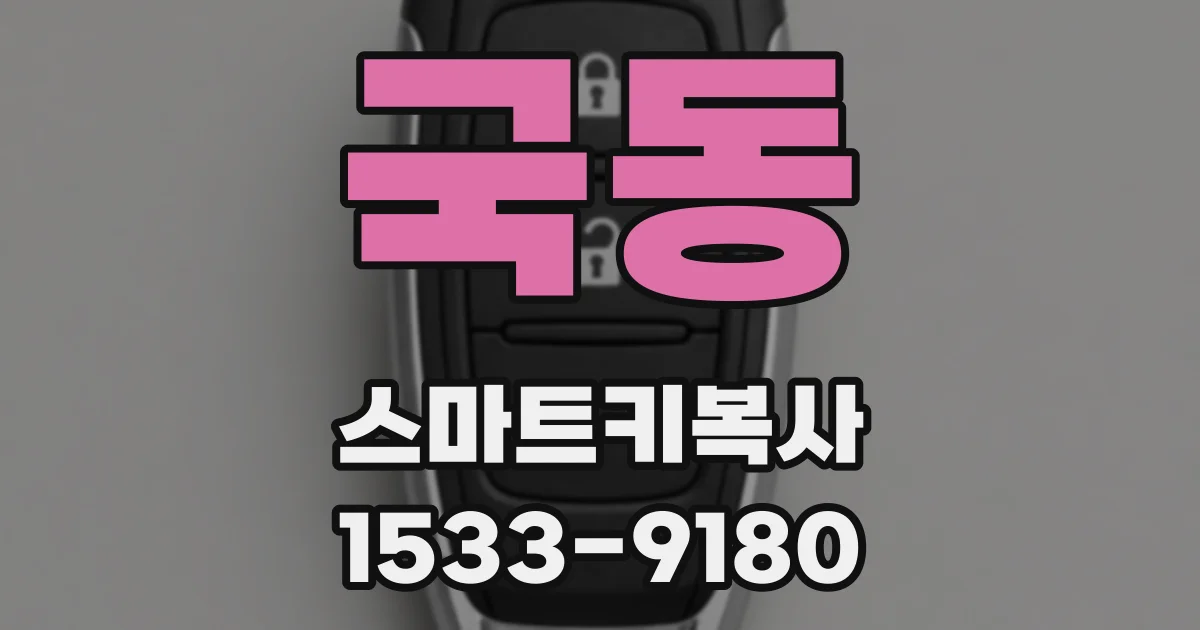 국동 스마트키복사