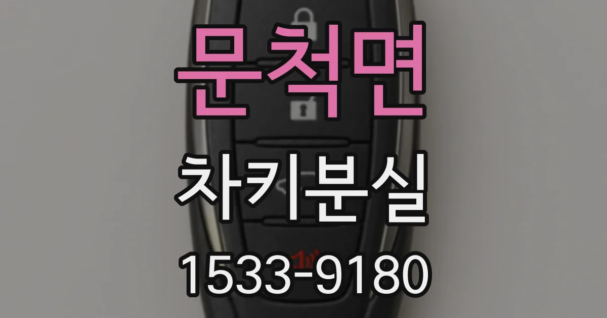 문척면 차키분실