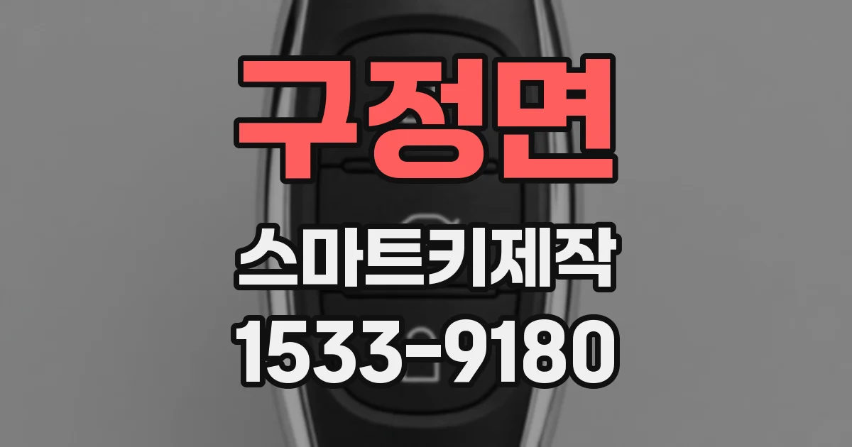 구정면 스마트키제작