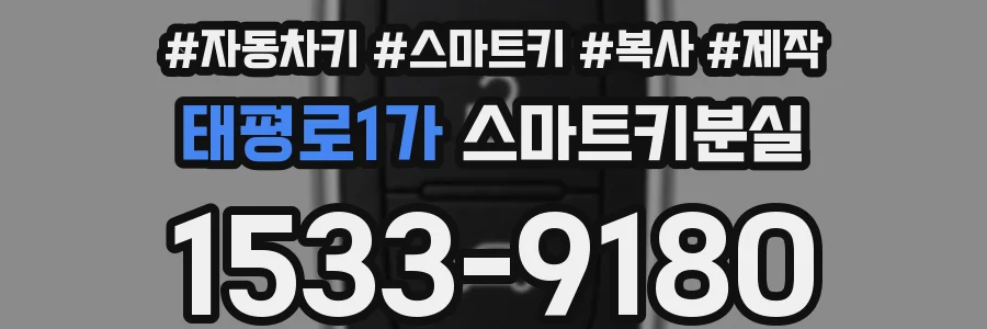 태평로1가 스마트키분실